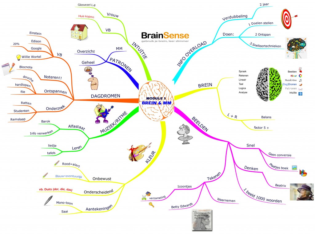 Brein En Mindmappen Brainsense